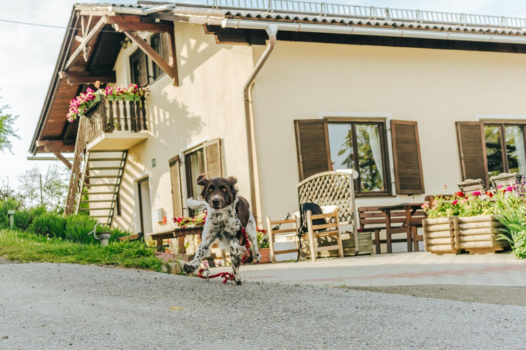Others 5, Gastezimmer & Buschenschank mit Weingut Hack-Gebell, Leibnitz