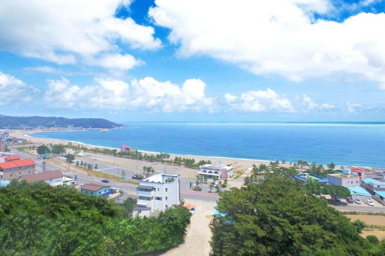 Others 5, Gyeongju Casting Pension, Gyeongju