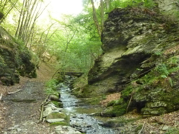 Others 5, Ferien im Hunsrück, Rhein-Hunsrück-Kreis
