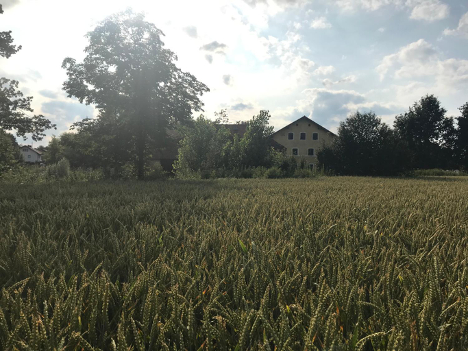 Others 5, Landgut zur Muhle, Erding