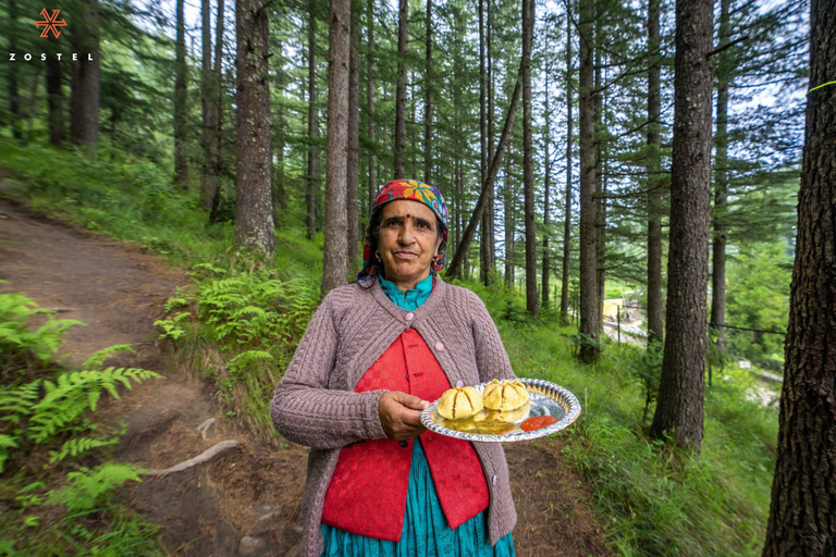 Others 5, Zostel Kotgarh (Narkanda), Shimla
