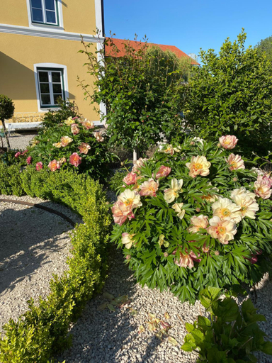 Others 4, Landgut zur Muhle, Erding
