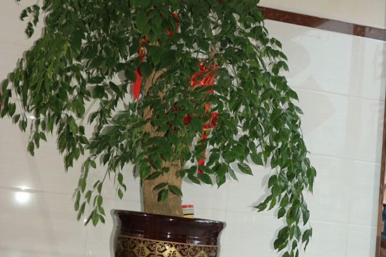 Others 3, Qiaopan Guesthouse, Wenzhou