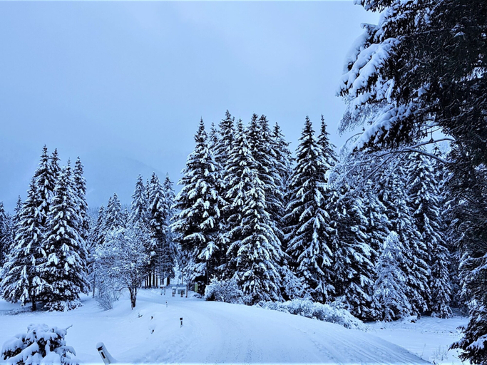 Others 4, Chalet in Hohentauern With Sauna and hot tub, Murtal