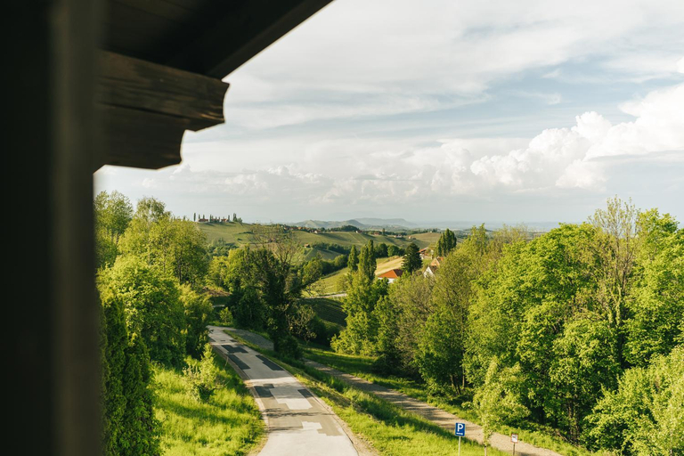 Others 4, Gastezimmer & Buschenschank mit Weingut Hack-Gebell, Leibnitz