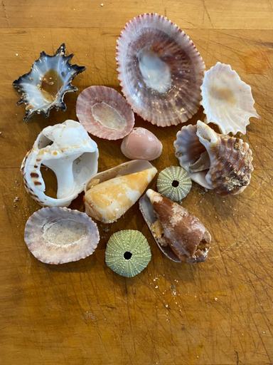 Others 4, Surfstar at Mimosa Jeffreys Bay, Cacadu