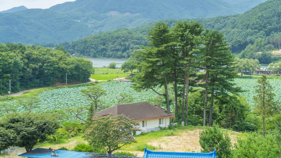 Exterior & Views 2, Gapyeong Yeonkkocchosu Pet Pension, Gapyeong