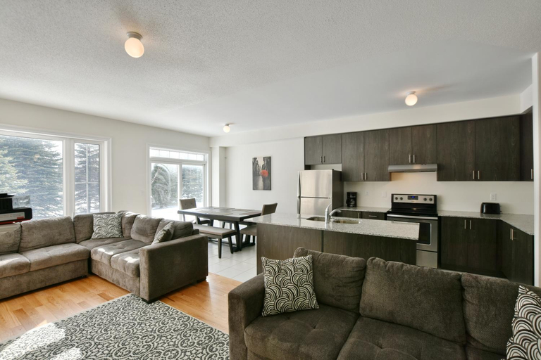 Others 5, New Blue Mountain Village Snowbridge Executive Townhome Sleeps 10 with Outdoor Pool and Shuttle, Grey
