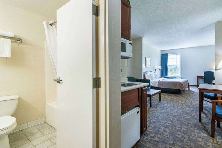 Bathroom 5, Quality Inn & Suites Schoharie near Howe Caverns, Schoharie