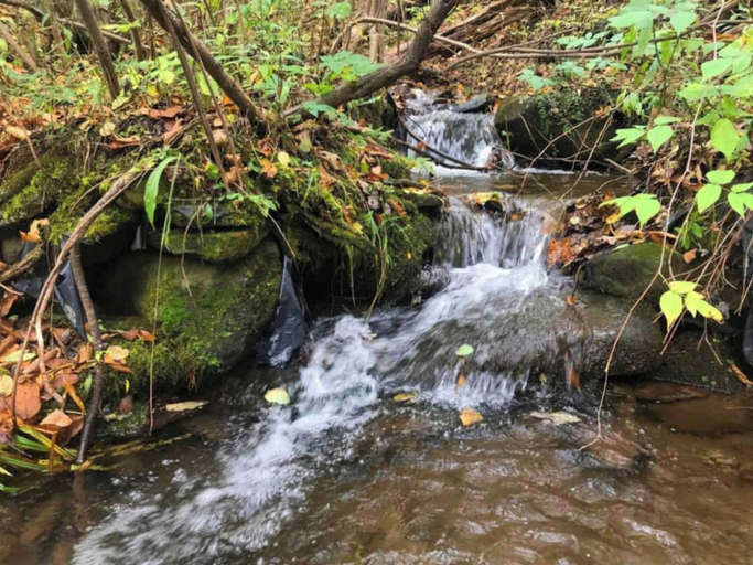 Others 5, Catskill Retreat, Delaware