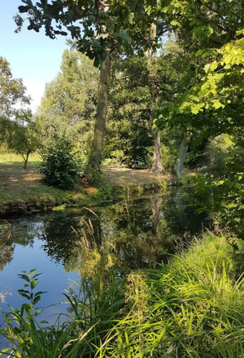 View from property, Holiday Home Kupa Comfortable Vacation Home, Spree-Neiße