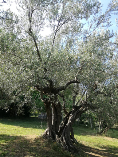 Others 2, Vacanze in collina, tra mare e monti, Chieti