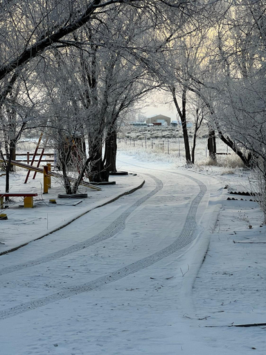 Others 5, The Gratitude Homestay, Alamosa