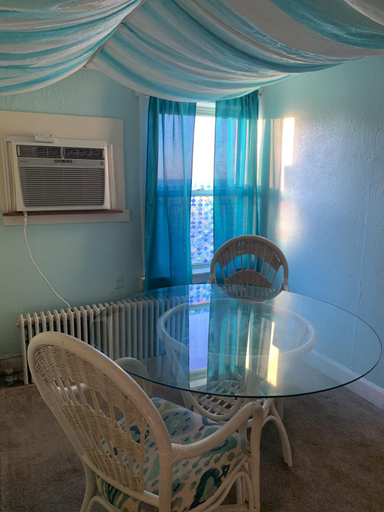 4, Rustic Rooftop Delight - Bay Front apts, Norfolk