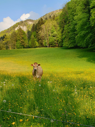 Others 4, Agreable chambre d'hotes, au calme, dans la nature, Moutier