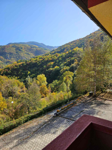 4, Forest Spring, Asenovgrad