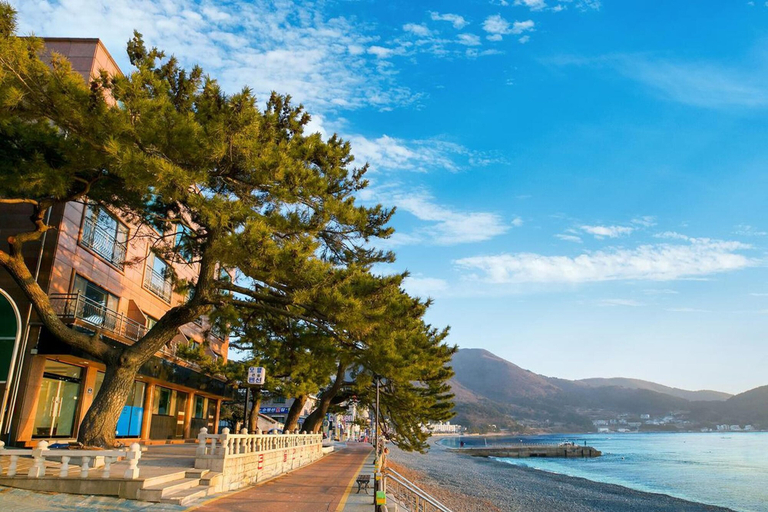 Exterior & Views 2, Geoje Big Sol Pension, Geoje