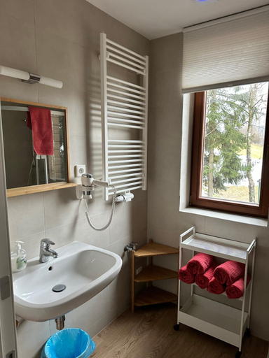 Bathroom 3, Penzion Apidae, Rychnov nad Kněžnou