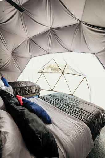 Bedroom 4, DayDreamer Domes, Allegan