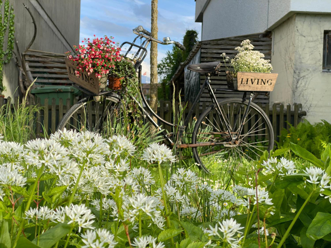 Others 2, Lakelodge Romanshorn, Bodensee