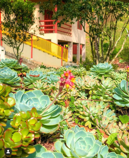 Others 5, Sitio dos Palmitos - Casa Pupunha, Domingos Martins