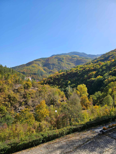 5, Forest Spring, Asenovgrad
