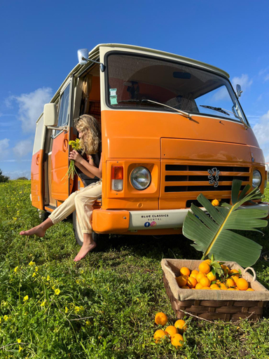 Others 3, Rent a J9 Camper Van with Blue Classics, Portimão