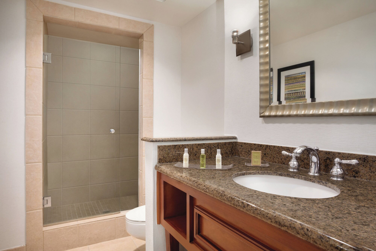Bathroom 5, DoubleTree by Hilton Hotel Albuquerque, Bernalillo
