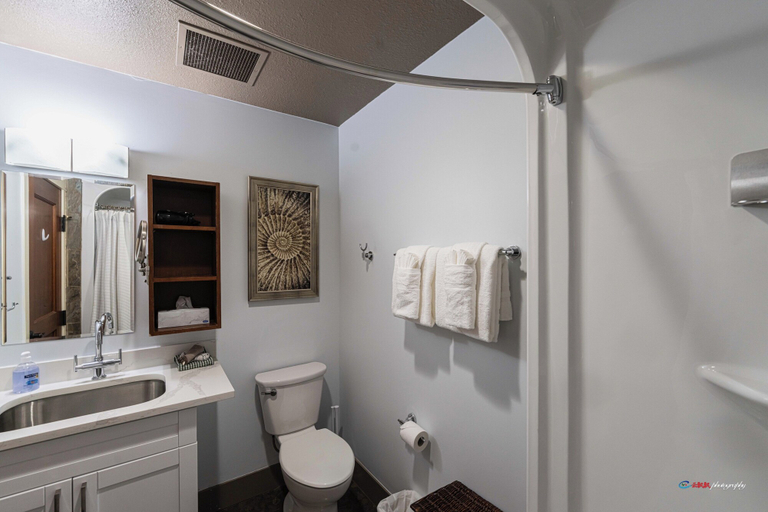 Bathroom 3, Solara Hotel room with Pool-Hot tub-Gym, Division No. 15