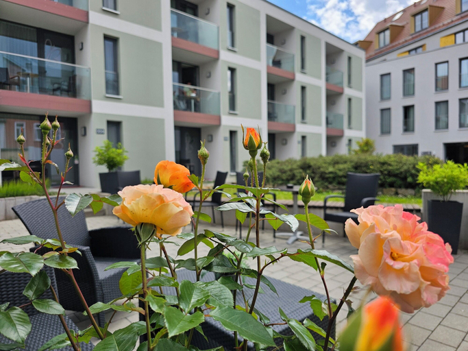 Exterior & Views 2, Hotel Am Kaisersaal, Erfurt
