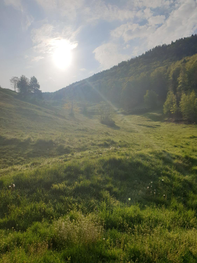 Others 3, Agreable chambre d'hotes, au calme, dans la nature, Moutier
