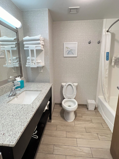 Bathroom 4, Hampton Inn & Suites Baltimore/Woodlawn, Baltimore