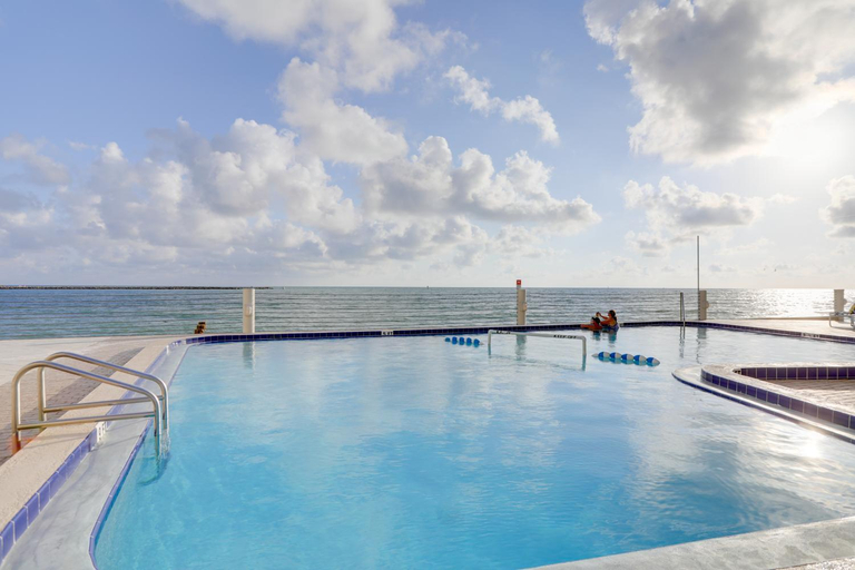 Sport & Beauty 2, Dolphin & Manatee viewing from 15th Floor, Pinellas