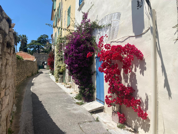 Others 5, La Suite Sainte Claire, Var