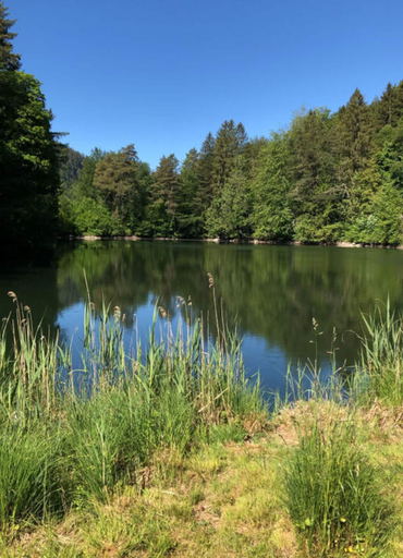 Property grounds 2, Family Apartment Bavaria, Ostallgäu