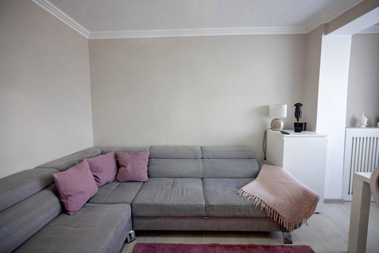 Others 3, Joyful apartment, Timisoara