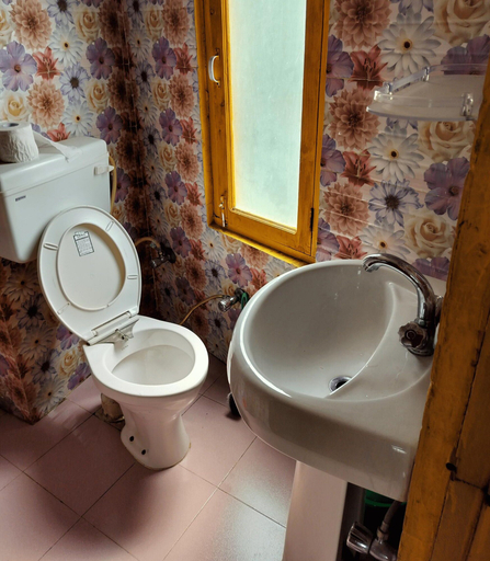 Bathroom 5, Jungle by sturmfrei Kasol, Kullu