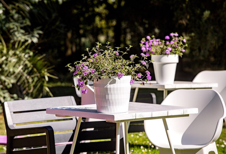 Others 5, B&B La Locandiera, Grosseto