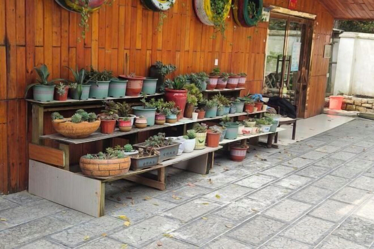Food & Drinks 5, Xiaoxi Hostel, Zhangjiajie