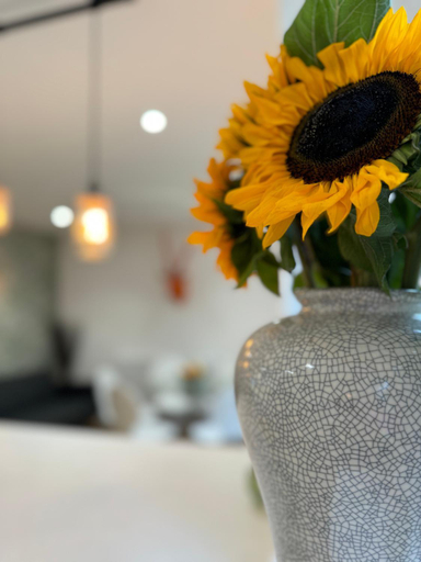Kitchen 5, Hannah's Homestay, Oxfordshire