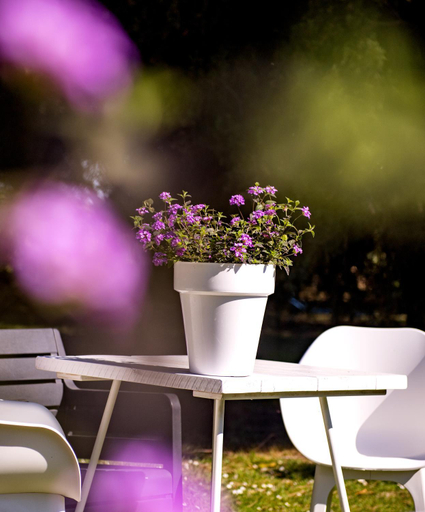 Others 2, B&B La Locandiera, Grosseto