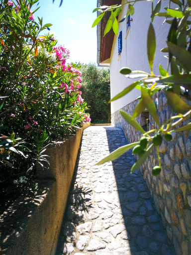 Others 5, Ecohouse Oliveglia, Dobrinj