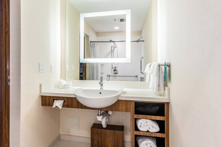 Bathroom 4, Springhill Suites Dallas Plano/Frisco, Collin