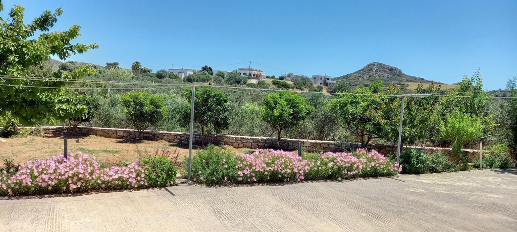 Garden, Filio rooms, Attica