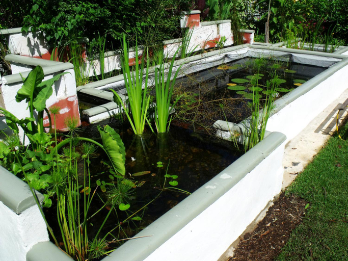 Garden 3, Jamaed Court Holiday Flats, Eden
