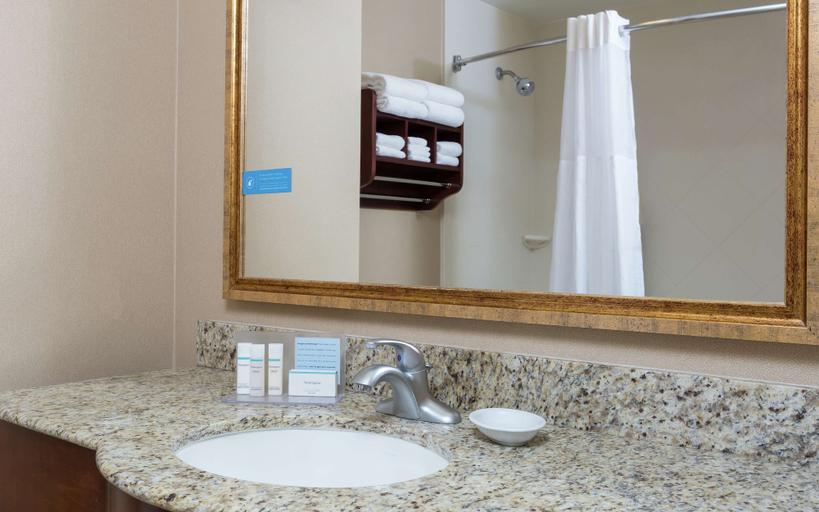 Bathroom 4, Hampton Inn & Suites Lodi, San Joaquin
