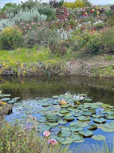 Others 5, River Gardens Axedale Pet Friendly Farmstay B&B, Gr. Bendigo - Pt B