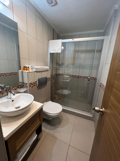 Bathroom 4, Flower Palace Hotel, Fatih