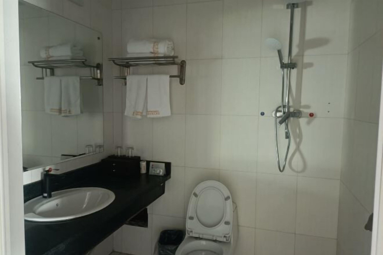 Bathroom 3, Gongliu Yongshun Hotel, Ili Kazakh