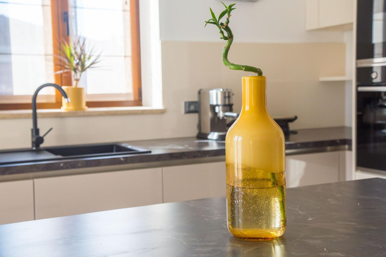 Food & Drinks, Villa Tiffany with private pool and garden, Poreč